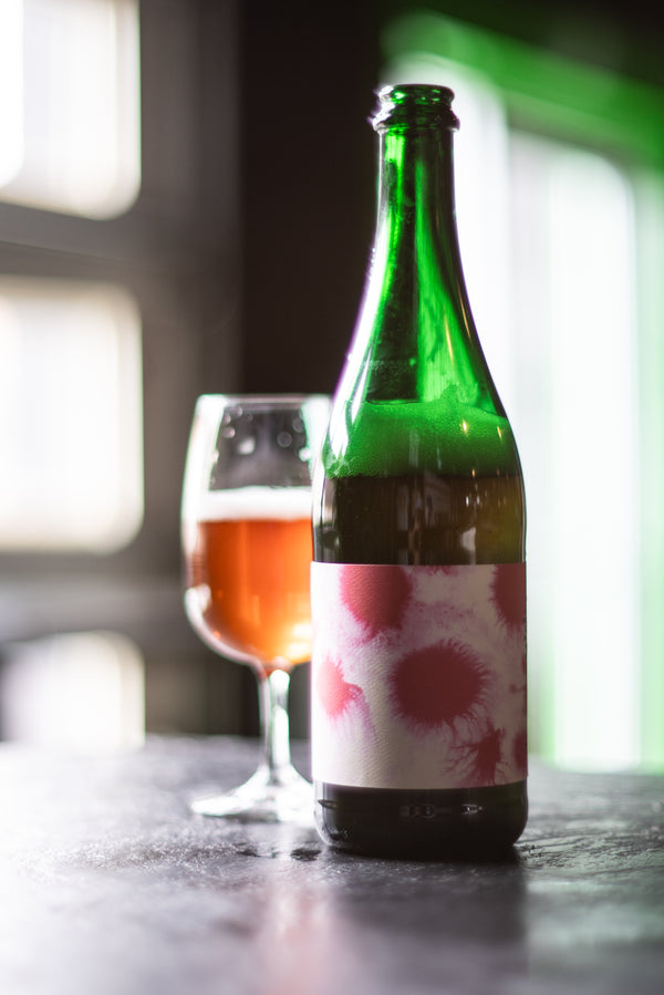 All of a Sudden It’s a Different World - Fruited Saison 750ml Bottle