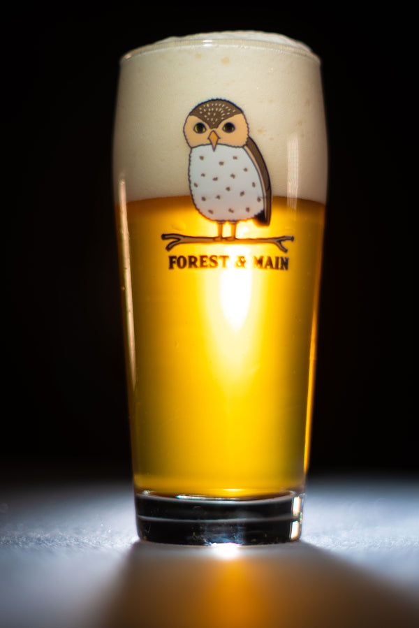 Owl Glass